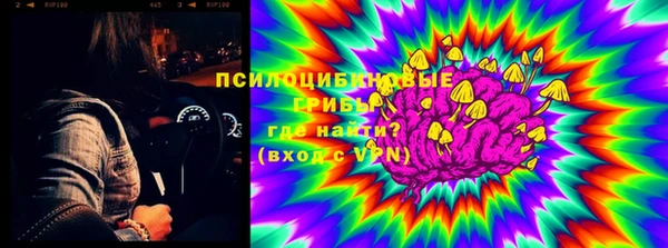 гашик Лиски
